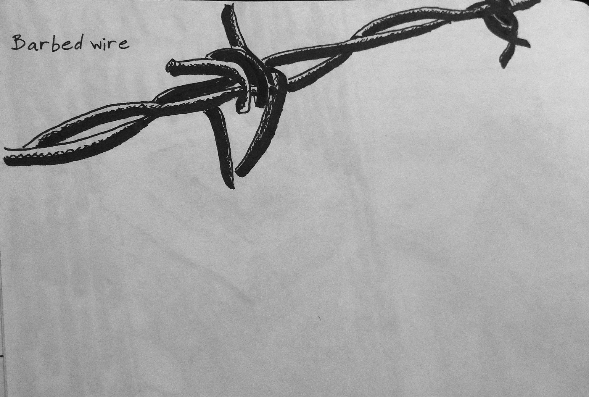 An ink sketch of a close-up of barbed wire.